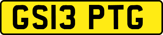 GS13PTG
