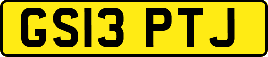 GS13PTJ
