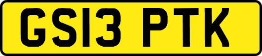 GS13PTK