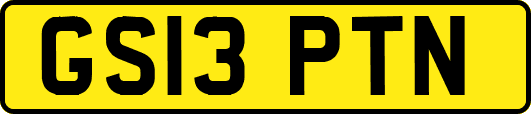 GS13PTN