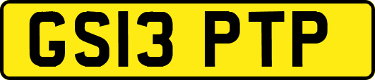 GS13PTP
