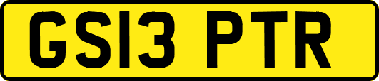 GS13PTR