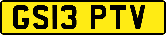 GS13PTV