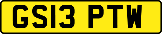 GS13PTW