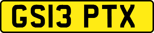 GS13PTX