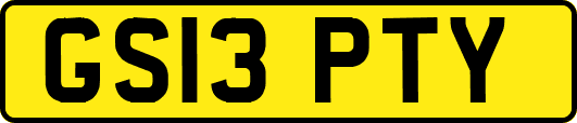 GS13PTY