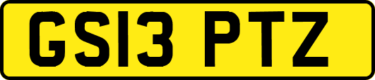 GS13PTZ