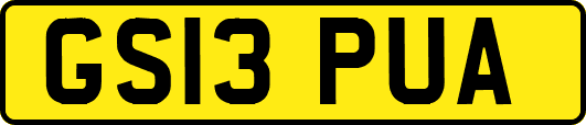 GS13PUA