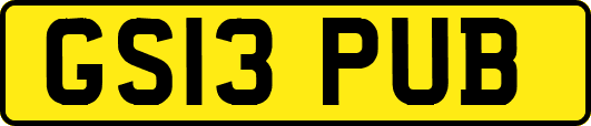 GS13PUB