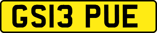 GS13PUE
