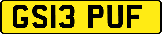 GS13PUF