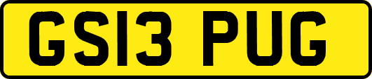 GS13PUG