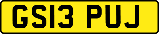 GS13PUJ