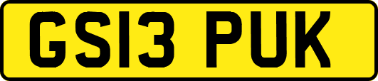 GS13PUK