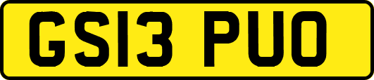 GS13PUO
