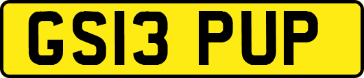 GS13PUP