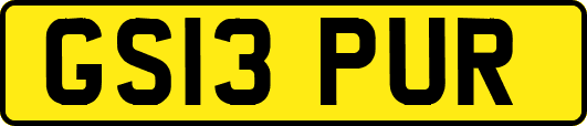 GS13PUR
