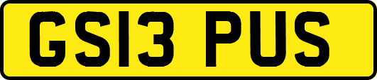 GS13PUS