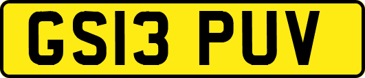 GS13PUV