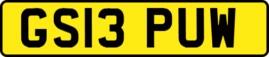 GS13PUW