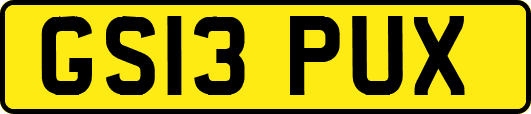 GS13PUX