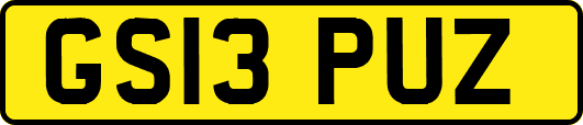 GS13PUZ