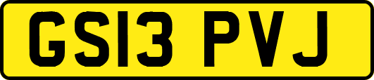 GS13PVJ