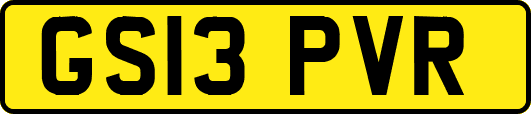 GS13PVR
