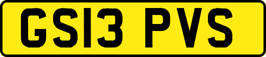 GS13PVS