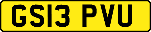 GS13PVU