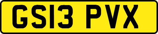 GS13PVX