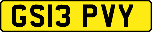 GS13PVY