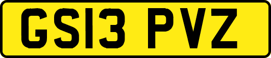 GS13PVZ