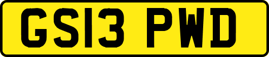 GS13PWD