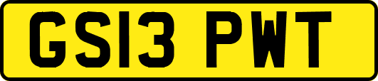 GS13PWT