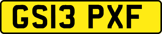 GS13PXF