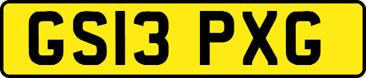 GS13PXG