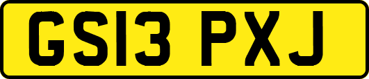 GS13PXJ
