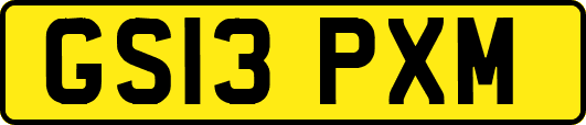 GS13PXM