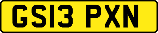 GS13PXN