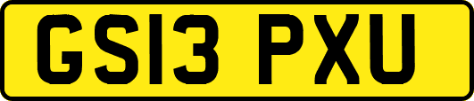 GS13PXU