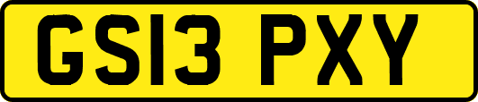GS13PXY