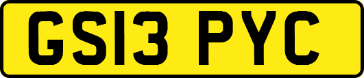 GS13PYC