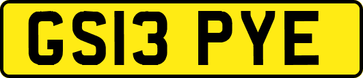 GS13PYE