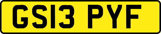 GS13PYF