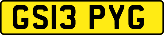 GS13PYG