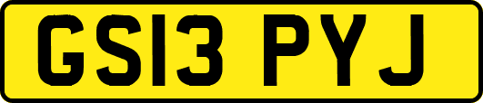 GS13PYJ