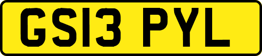GS13PYL
