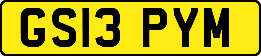 GS13PYM
