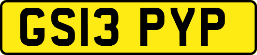 GS13PYP